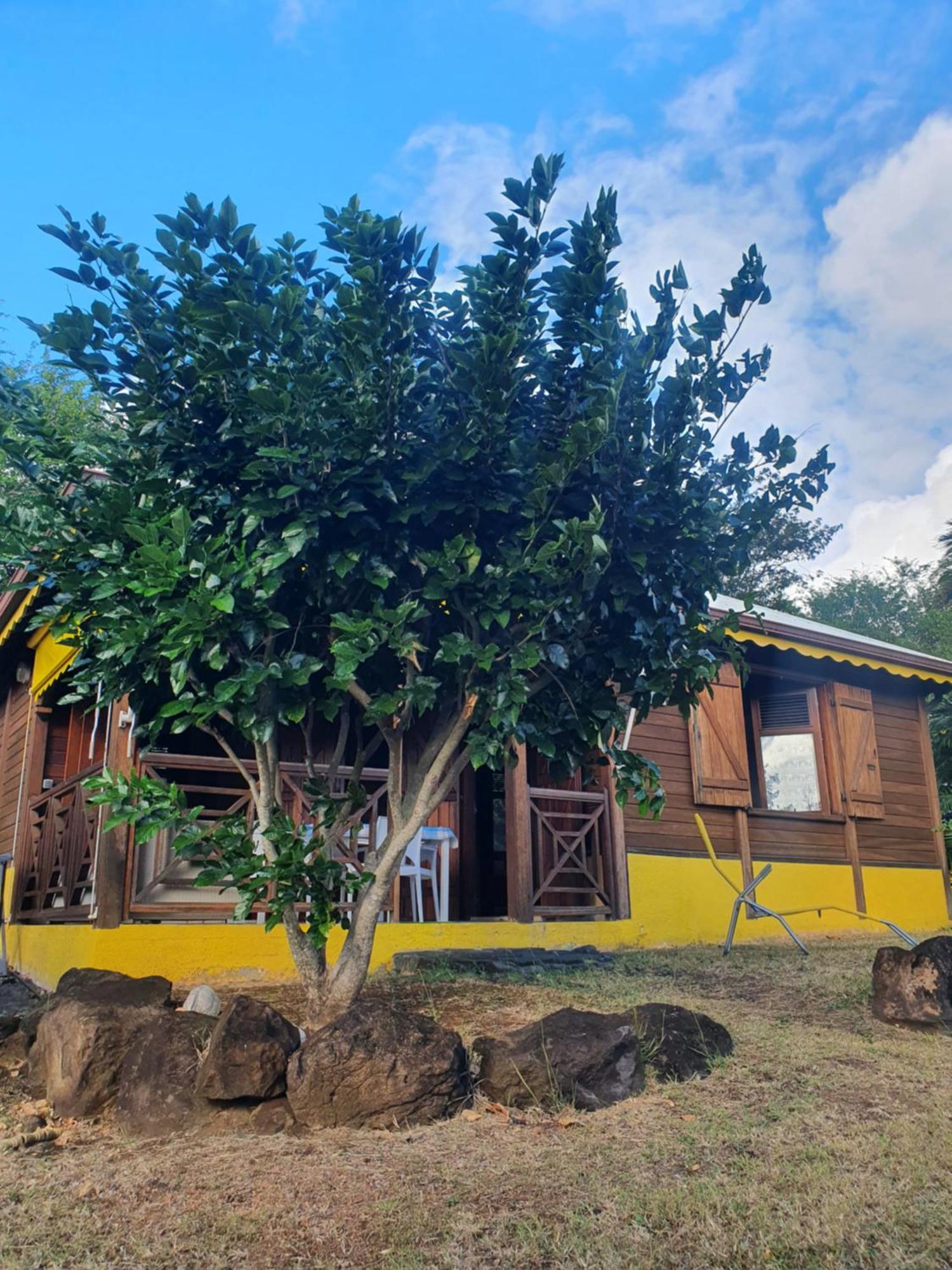 Cottage La Pointe Marine 德赛 外观 照片